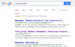 Ausschnitt Screenshot Suchanfrage Google