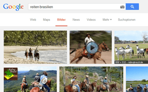 Ausschnitt Screenshot Suchanfrage Google (Bildersuche)