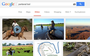 Ausschnitt Screenshot Suchanfrage Google (Bildersuche)