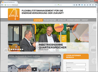 Website Flex4Energy